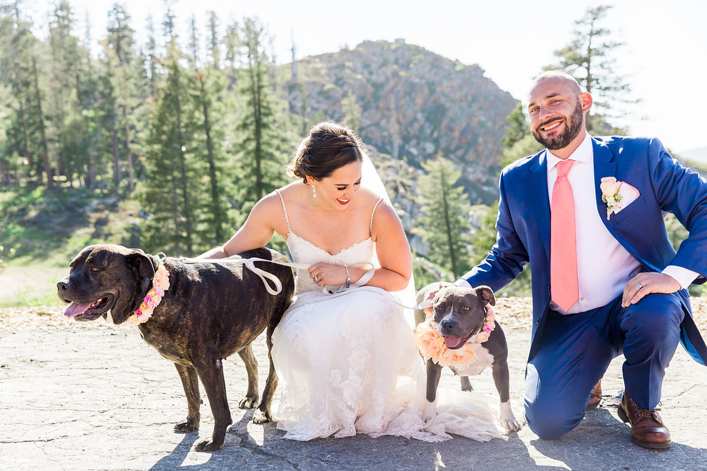 include dogs in your wedding
