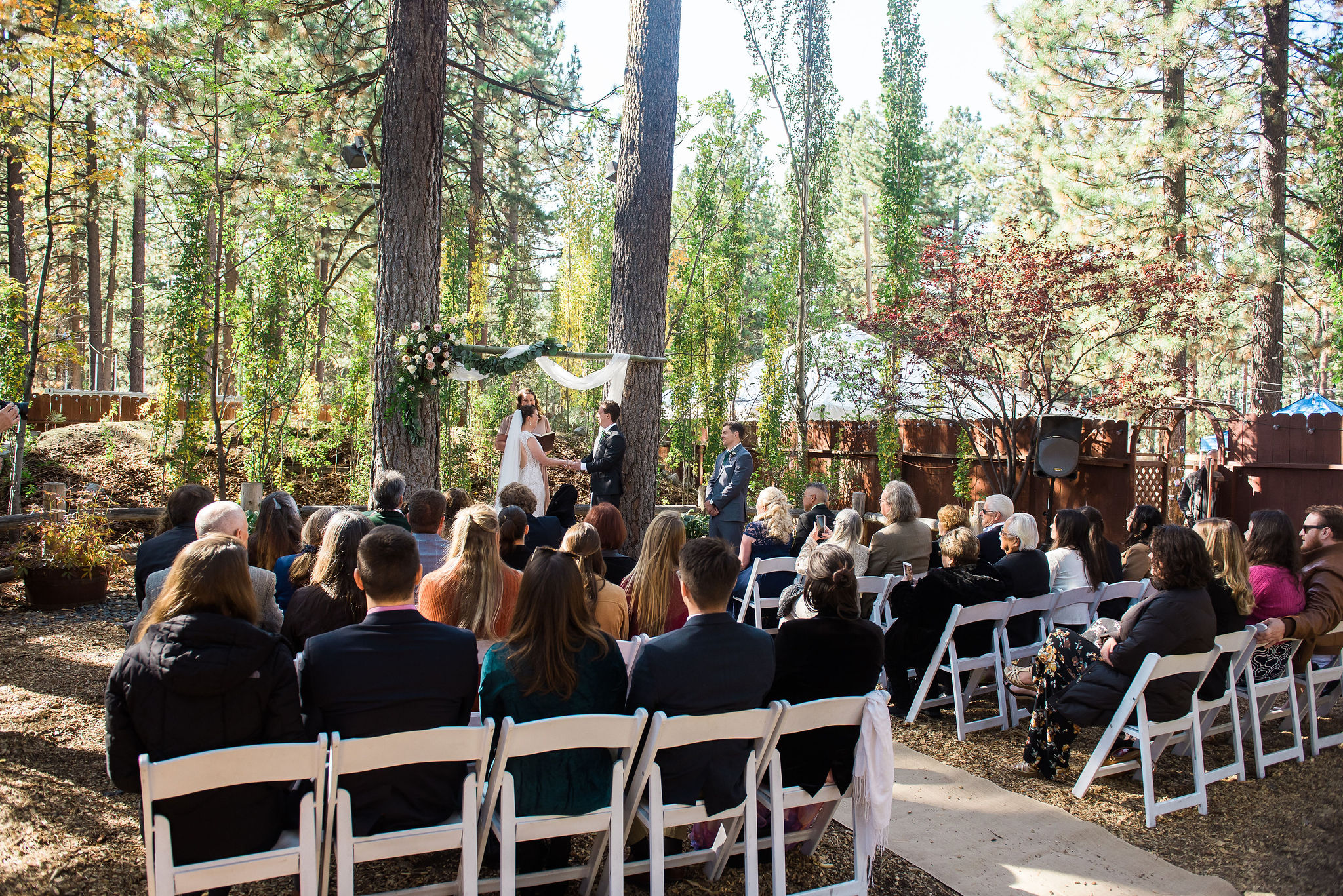 Revive backyard wedding