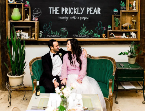 Prickly Pear Wedding Photographer | Sterling + Ido