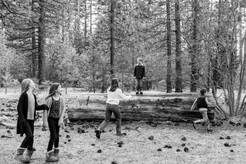 Locals-guide-to-lake-tahoe-1 Children exploring the forest and climbing a fallen tree in Lake Tahoe, enjoying nature-based play in a family-friendly outdoor setting.