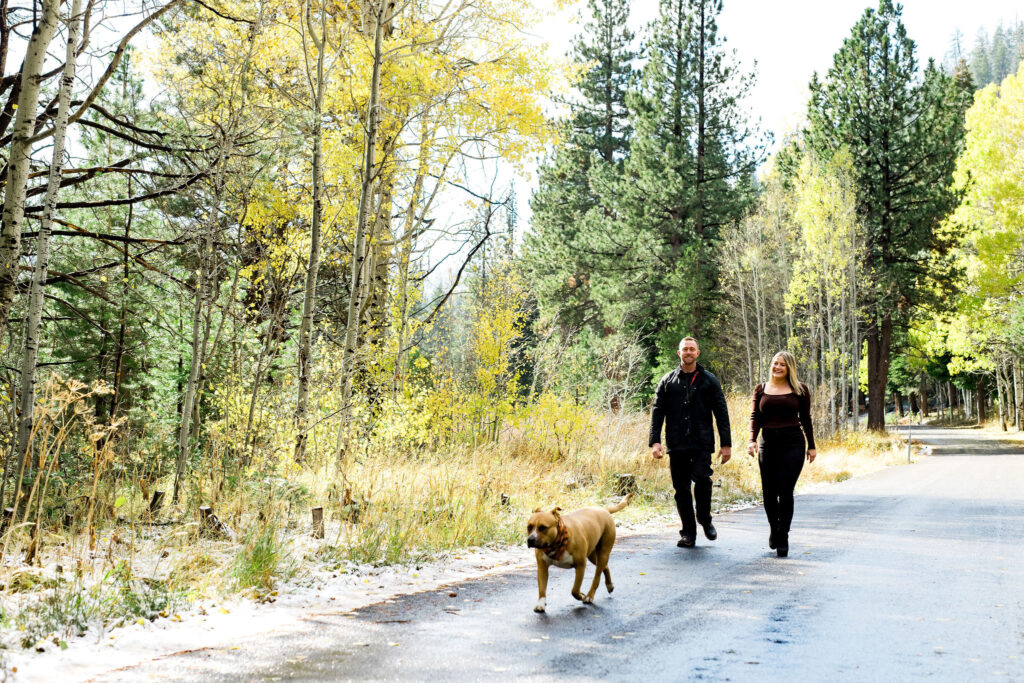 Oct-2024 Couple walking their dog along a forested path in Lake Tahoe during early fall, surrounded by golden aspens and towering pines on a pet-friendly hike.