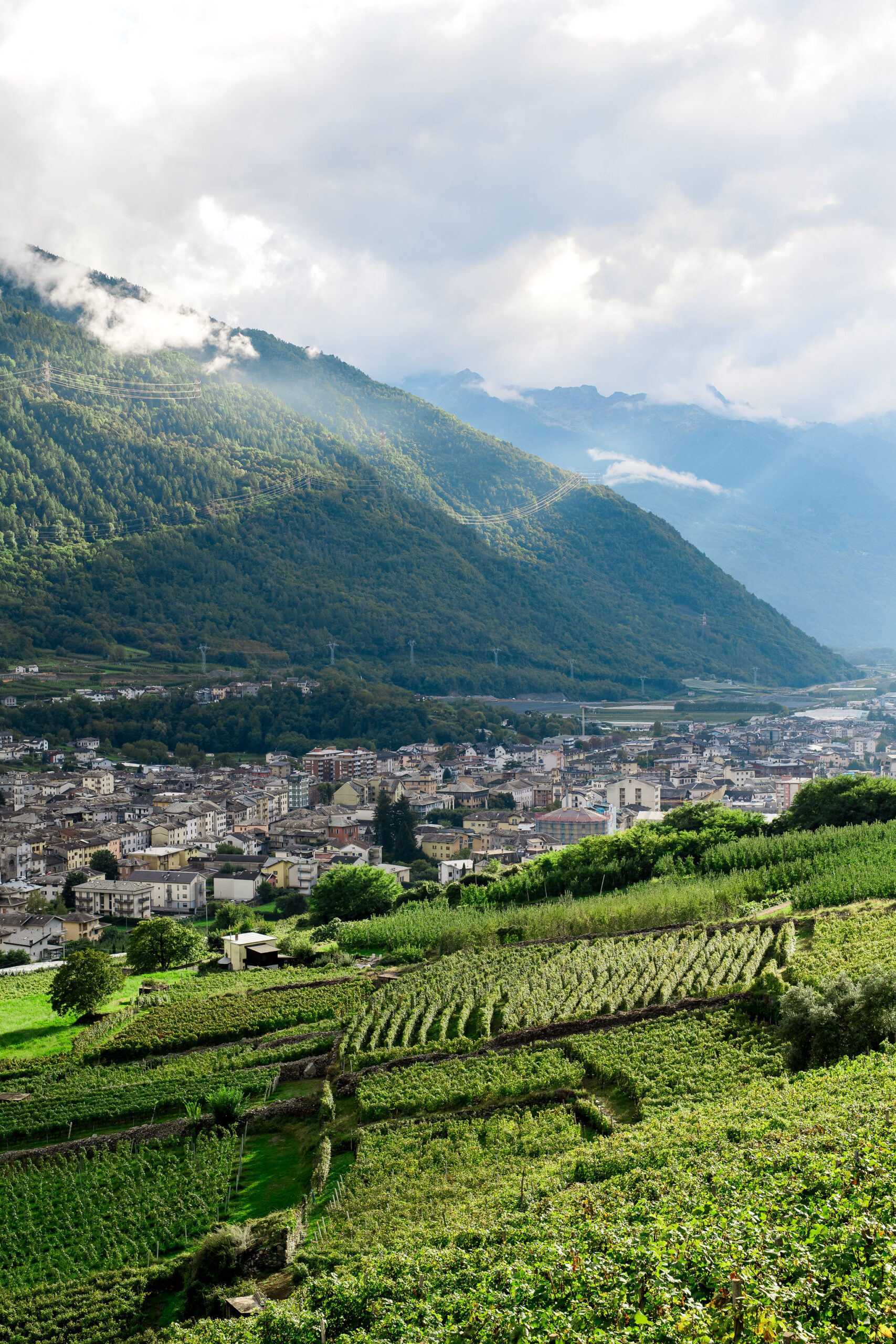 Luxury-Trip-Lake-Maggiore-Italy-162 The valley of Valtellina Italy